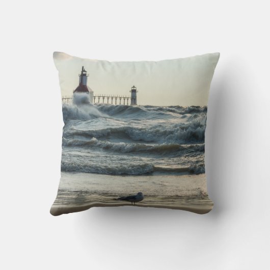 Force Behind美しい クッション (裏面)