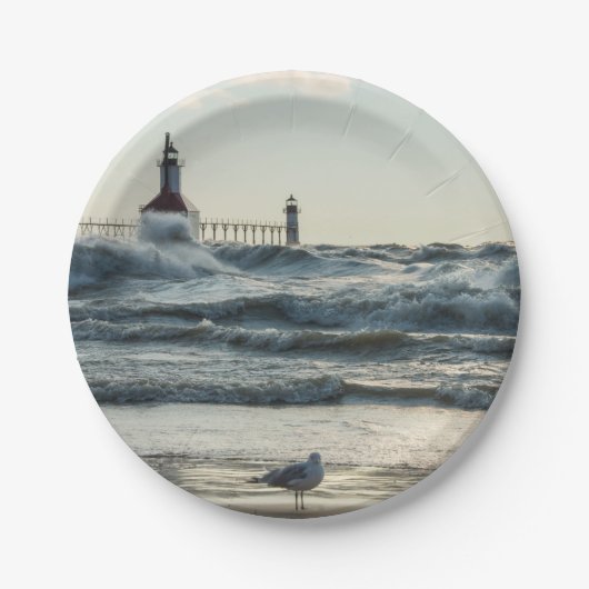 Force Behind美しい ペーパープレート (正面)