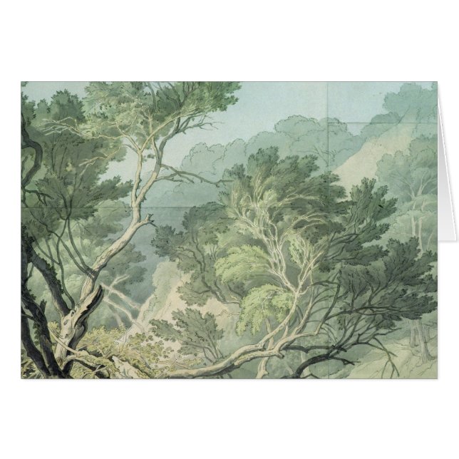 Fordlands、エクセターの近くの眺め (正面横)