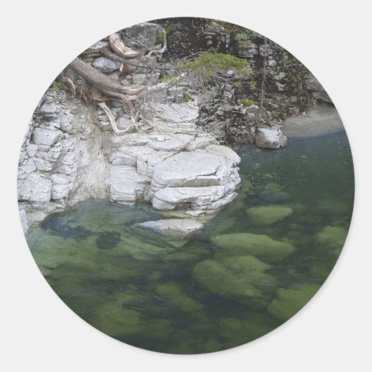 FORESTステッやる気を起こさせるカー ラウンドシール (正面)