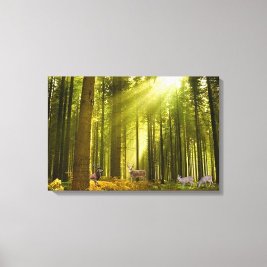 Forest and Deer image for 包まれた-canvas Canvas Pr キャンバスプリント (正面)