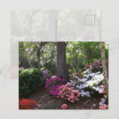 Forest and Flowers Postcard ポストカード (正面/裏面)