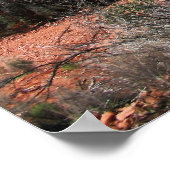 Forest at Cathedral Rock ポスター (角)