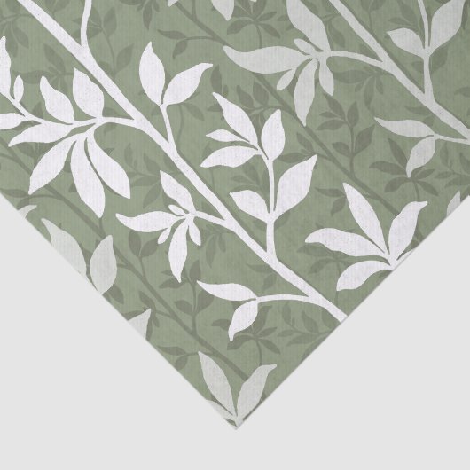 Forest Breeze Minimalist Botanical Silhouette Sage 薄葉紙 (詳細)