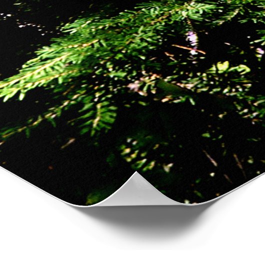 Forest Glow Poster Print ポスター (角)