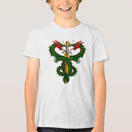 Forest Guardian Dragon Blade トライブレンドＴシャツ (正面)