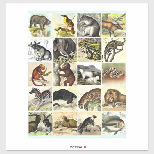 Forest, Jungle And Ocean Animal Collage sheet Art シール (シート)