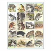 Forest, Jungle And Ocean Animal Collage sheet Art シール (正面)