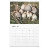 Forest Mushrooms Calendar カレンダー (3月 2027)