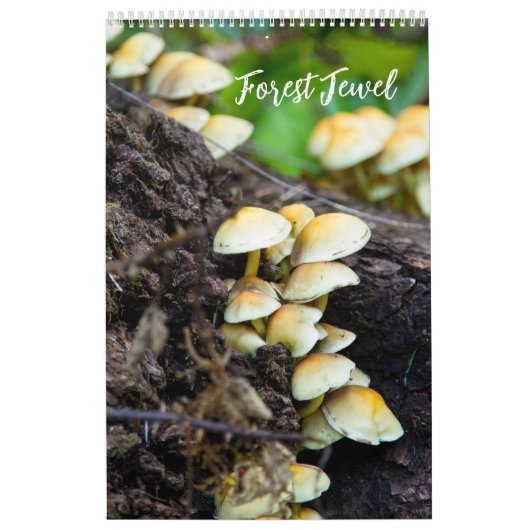 Forest Mushrooms Calendar カレンダー (カバー)