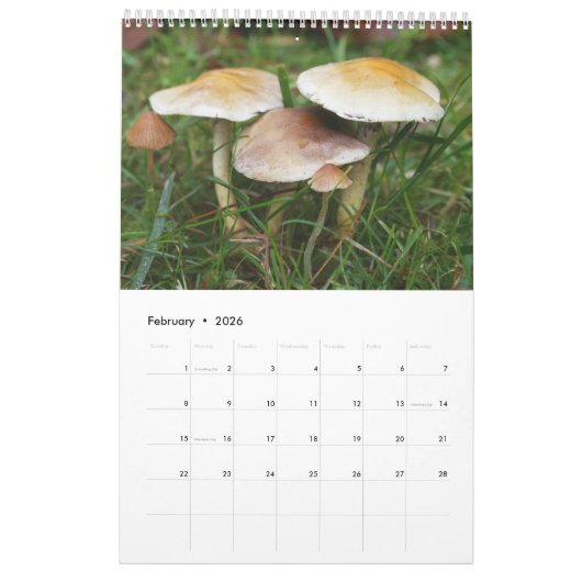 Forest Mushrooms Calendar カレンダー (2月 2026)