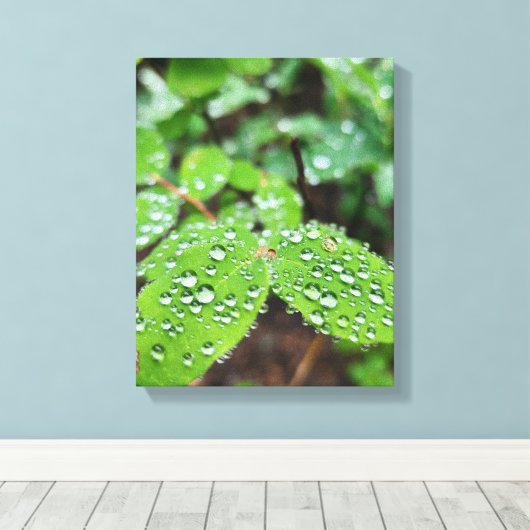 Forest Nature キャンバスプリント (インサイチュ (ウッドフロア))