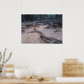 Forest on Mt. Kurama ポスター (キッチン)