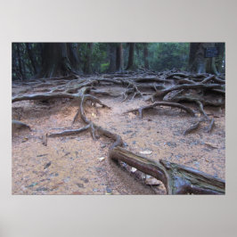 Forest on Mt. Kurama ポスター