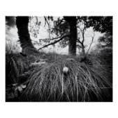 Forest on the mouse level ポスター (正面)