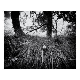 Forest on the mouse level ポスター