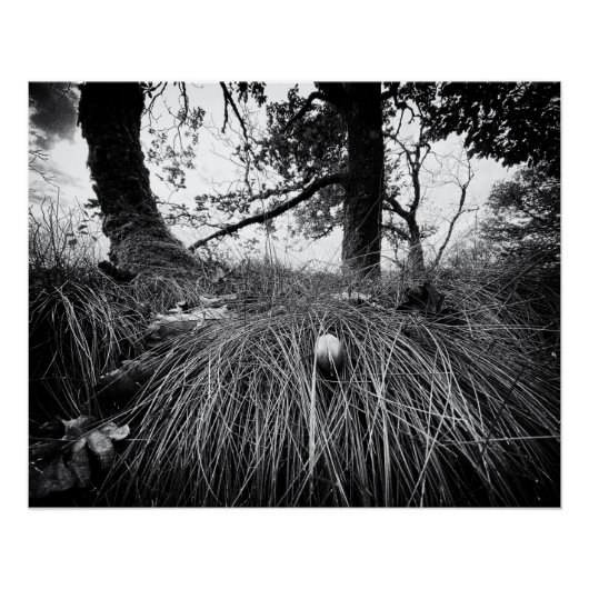 Forest on the mouse level ポスター (正面)