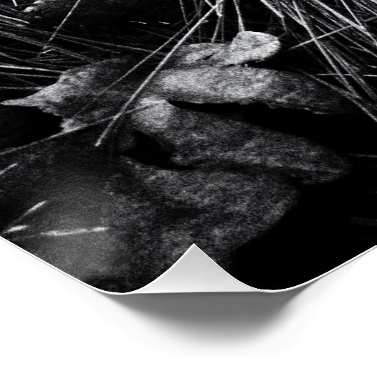 Forest on the mouse level ポスター (コーナー)