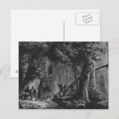 Forest Opening from 'Bresil, Columbie at ポストカード (正面/裏面)
