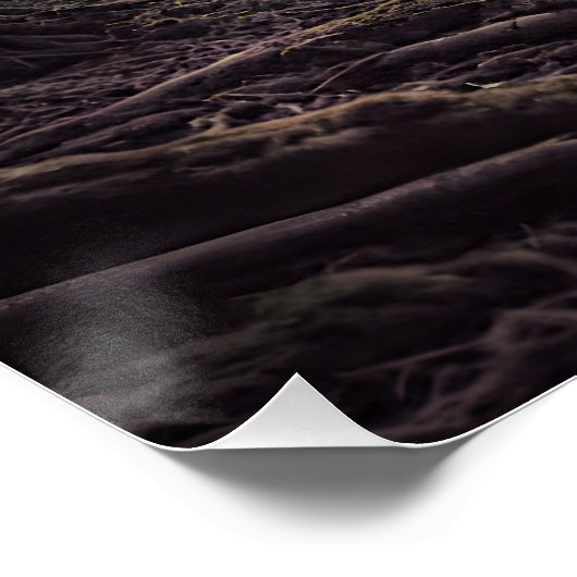 Forest Soul ポスター (コーナー)