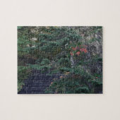 Forest Steps in Early Autumn ジグソーパズル (横)