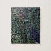 Forest Steps in Early Autumn ジグソーパズル (縦)