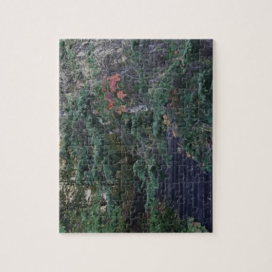 Forest Steps in Early Autumn ジグソーパズル (縦)