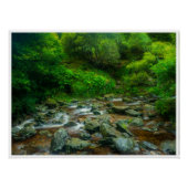 Forest Stream in Lush Woodland (Dargle River) ポスター (正面)