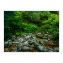 Forest Stream in Lush Woodland (Dargle River) ポスター