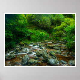 Forest Stream in Lush Woodland (Dargle River) ポスター