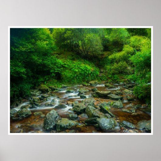Forest Stream in Lush Woodland (Dargle River) ポスター (正面)