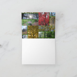 Forest/Trees Collage サンキューカード