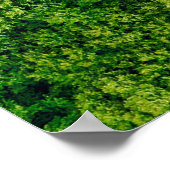 Forest view from above, aerial top view with copy  ポスター (角)