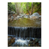 Forest Waterfall Cascade – Mountain Stream Print ポスター (正面)