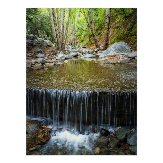 Forest Waterfall Cascade – Mountain Stream Print ポスター (正面)