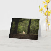 Forests | A White Tailed Deer in the Woods カード (黄色い花)