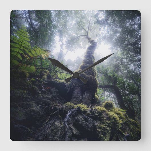 Forests | Anaga Rural Park Canary Islands スクエア壁時計 (正面)