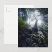 Forests | Anaga Rural Park Canary Islands ポストカード (正面/裏面)