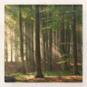 Forests | Autumn Forest ガラスコースター (正面)