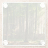 Forests | Autumn Forest ガラスコースター (裏面)