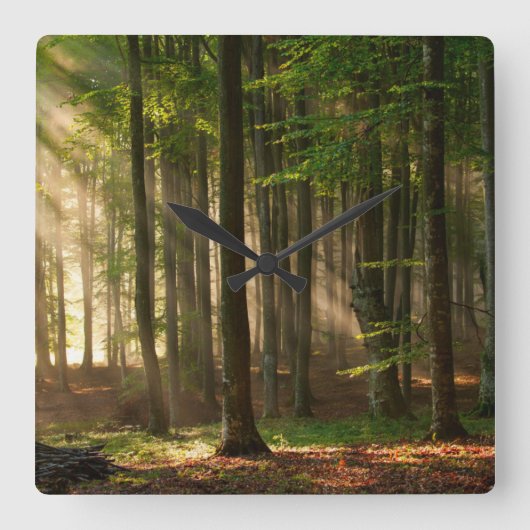 Forests | Autumn Forest スクエア壁時計 (正面)