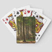 Forests | Autumn Forest トランプ (裏面)