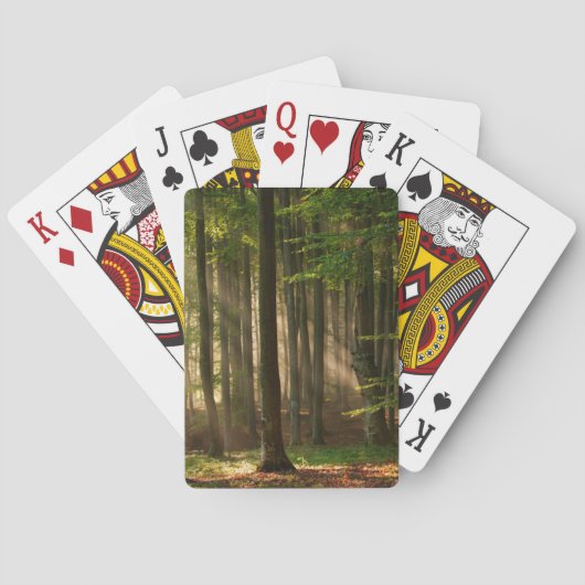 Forests | Autumn Forest トランプ (裏面)