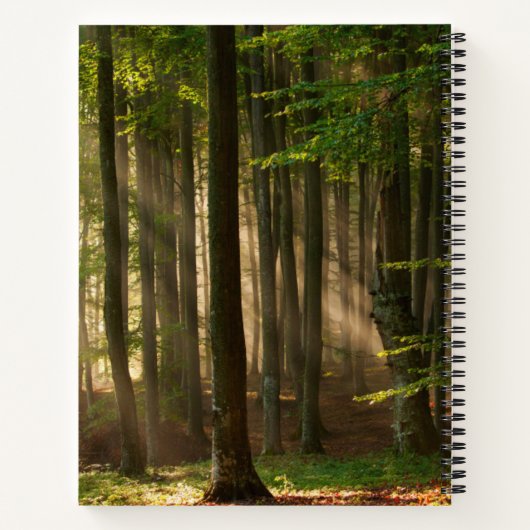 Forests | Autumn Forest ノートブック (裏面)