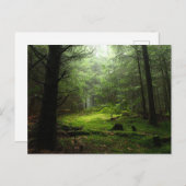Forests | Auvergne France ポストカード (正面/裏面)
