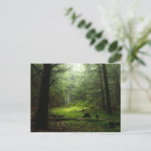 Forests | Auvergne France ポストカード (スタンド正面)
