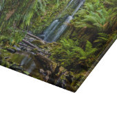 Forests | Beauchamp Falls Australia カッティングボード (角)