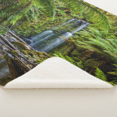 Forests | Beauchamp Falls Australia シェルパブランケット (3/4)