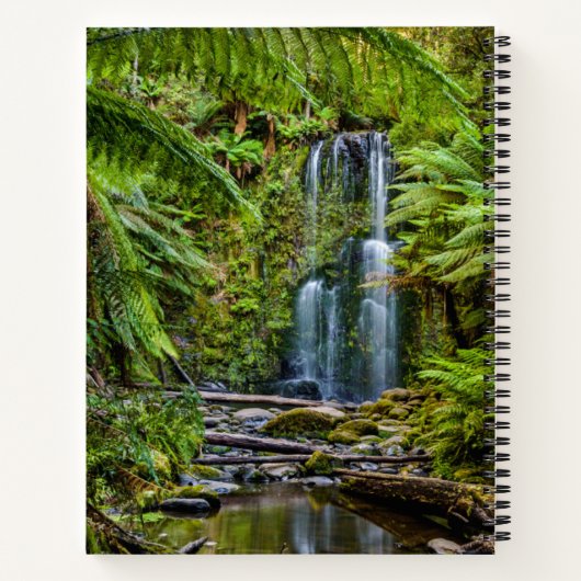 Forests | Beauchamp Falls Australia ノートブック (裏面)