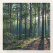 Forests | Black Forest Germany ガラスコースター (正面)